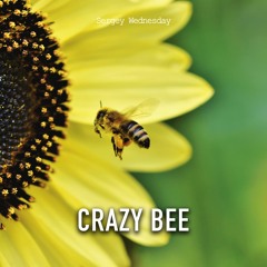 Sergey Wednesday - Crazy Bee (Original Mix)