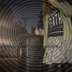 levitate feat. Iggy Madison (prod ava blank)