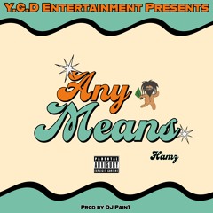 Hamz - Any Means (Prod By Dj Pain 1)