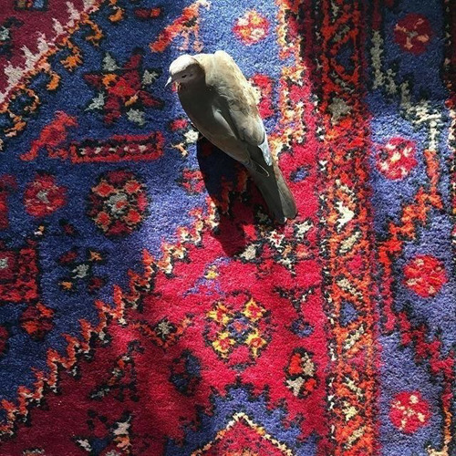 ‏هَب لي أُنسًا منك يُذهِبُ وَحشتي