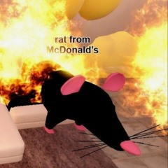 we're rats song for 4 minutes