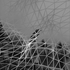 Wireframe