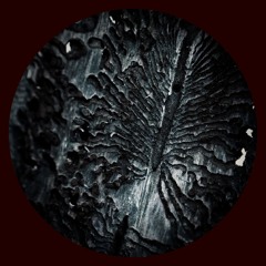 MÄNTÄ - Inverse Hole