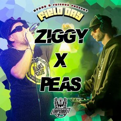 Ziggy & Peas Field Day