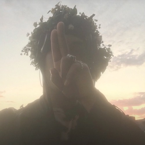 Ecco2k - Pollen