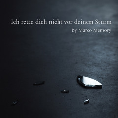 Ich rette Dich nicht vor Deinem Sturm