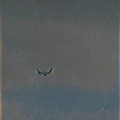 LEVSHA - Не твоя Life