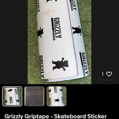 Grizzly p. (everydaysinner)