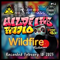 Wildfirefire Radio Show #12 (Release's Mix)