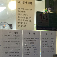 여기서부터 꿈입니다(보일Boil)