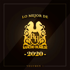 Pacas Verdes  (feat. Natanael Cano)