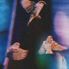 homesick