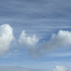 05 Feels Like April 2024