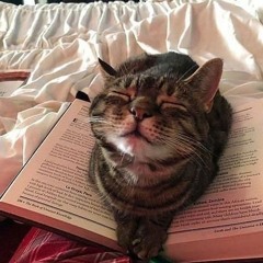 i'm so lucky, lucky !