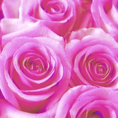 Pinkflower