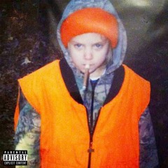 someone should assassinate andrew tate