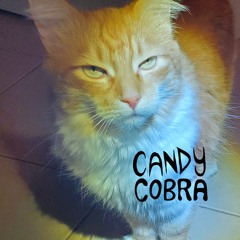 CANDY COBRA - CLUB/HOUSE MIX Winta 2023