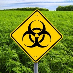 COVID-420 Day 1 (feat. E_rey)