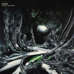 KENZ - Low Sense