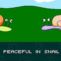snails in the meadow