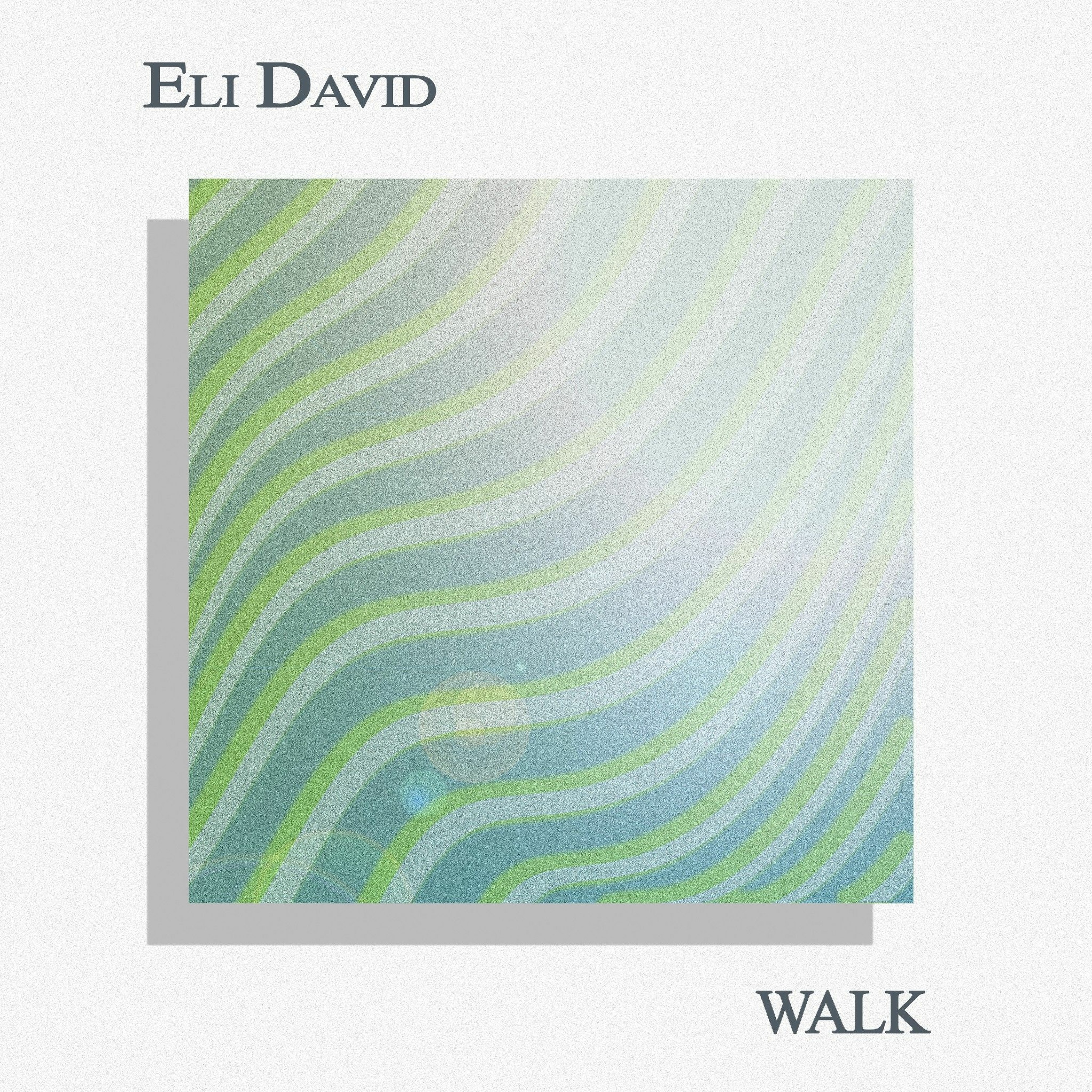 ELI DAVID