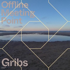 offline meeting point