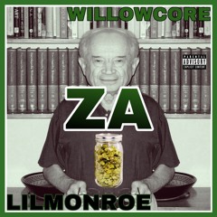 ZA w/willowcore (prod.33nimb)