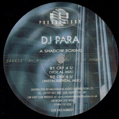 DJ Para - Shadow Boxing