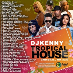 DJ Kenny 'Tropical House'  Dancehall Mix 2020