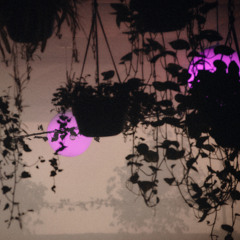 Lychee @ Nowadays Nonstop - March 29, 2025