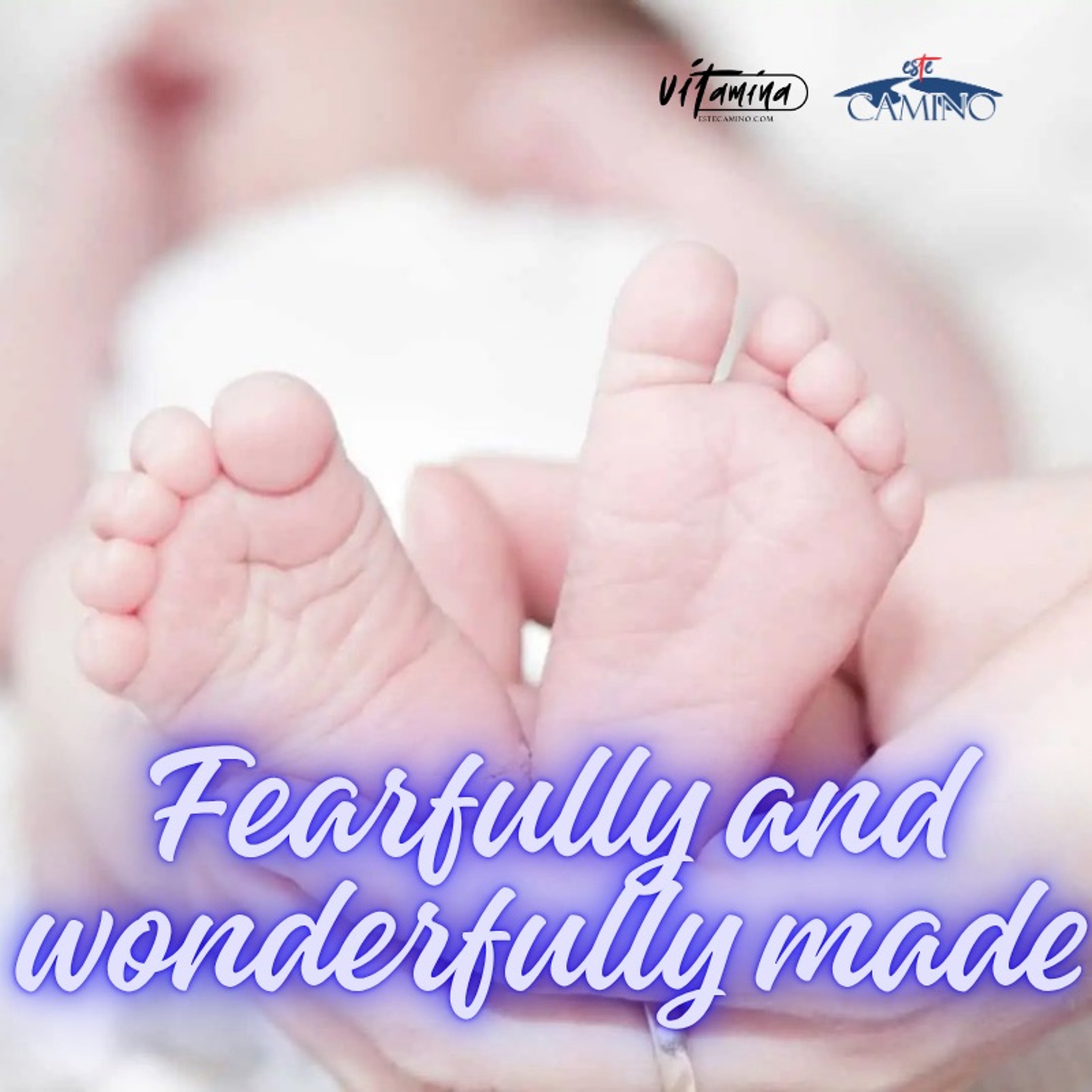FEARFULLY AND WONDERFULLY MADE, Pilar Ramirez episode artwork