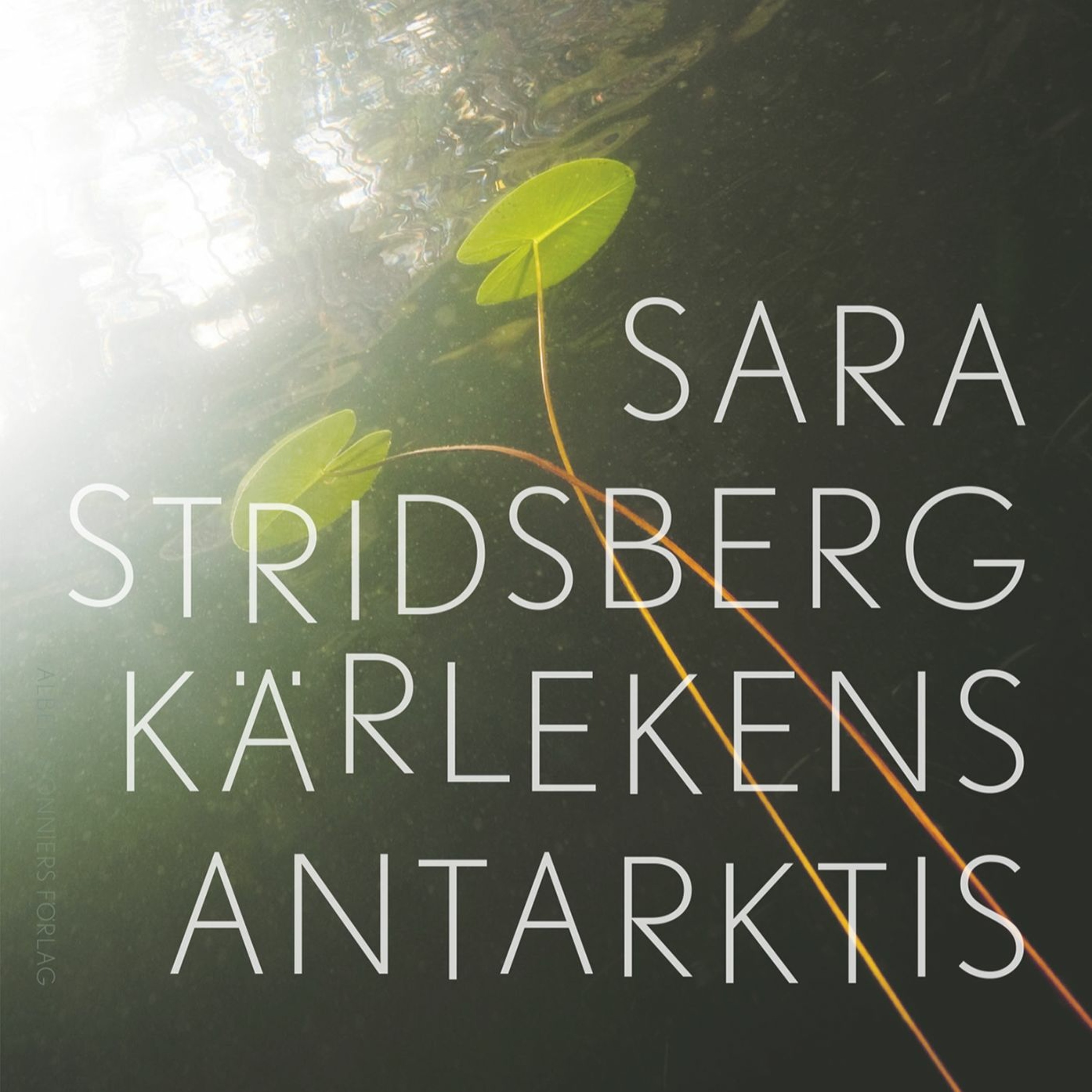 Bibliotekspodden