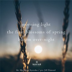 The Passing of First Light (NaviarHaiku367)