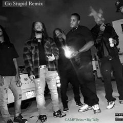 GO STUPID FREESTYLE - CAMPTwins ft. Big Tally