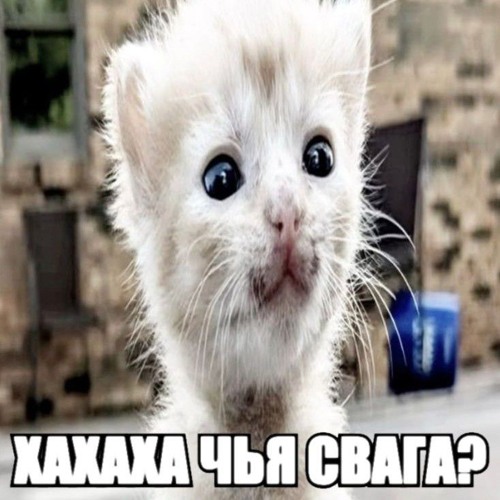 Самый форс саунд клауда (песни из тиктока)