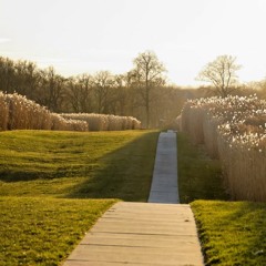 Landscape first