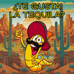 MikyCiL & M.A.L.A - Tequila Bounce