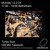Artwork for Turbo Sud / Radio Alhara w/ OEOAS (Orchestra Elettroacustica Officina Arti Soniche)