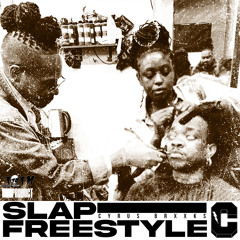 SLAP FREESTYLE