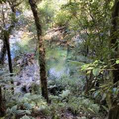 finding spaciousness and compassion - addressing the source of covid 19