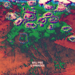 Premiere: Rali Pibs - Ritual Loops