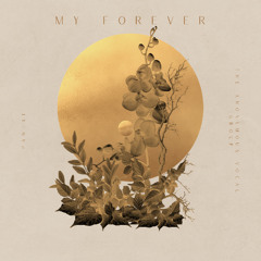 Missing You, Missing Me