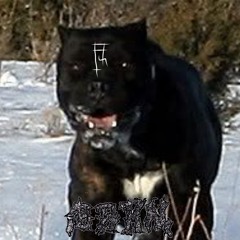 3 1 4 A M [prod. ERLAX]