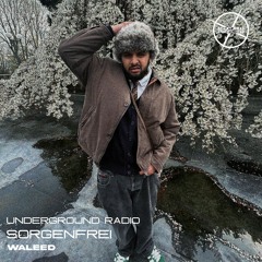 Waleed - Sorgenfrei (prod. by Soulstealer & Alecto)