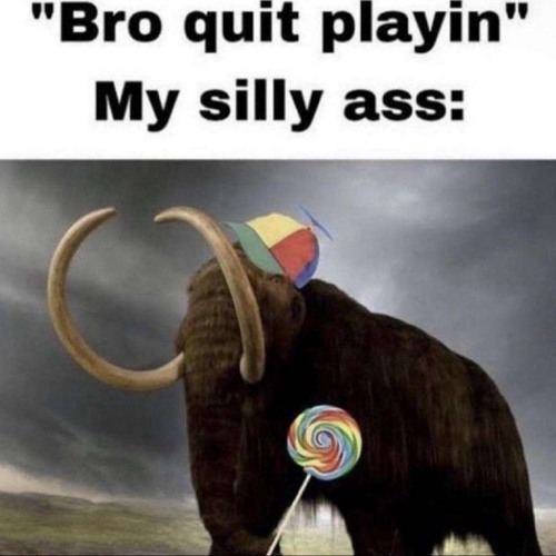 havoc ( p. dozefy & sossvault )