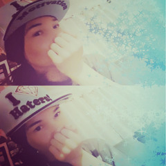 the flight (remix) - Skyper