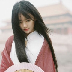 Cosmos Flower 코스모스 꽃