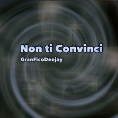 Non Ti Convinci