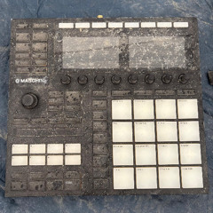 blue Dietrich Live '25