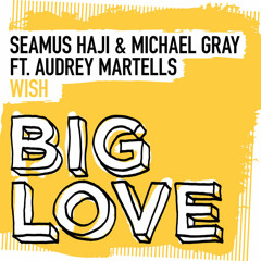 Wish (Extended Mix) Seamus Haji, Michael Gray, Audrey Martells